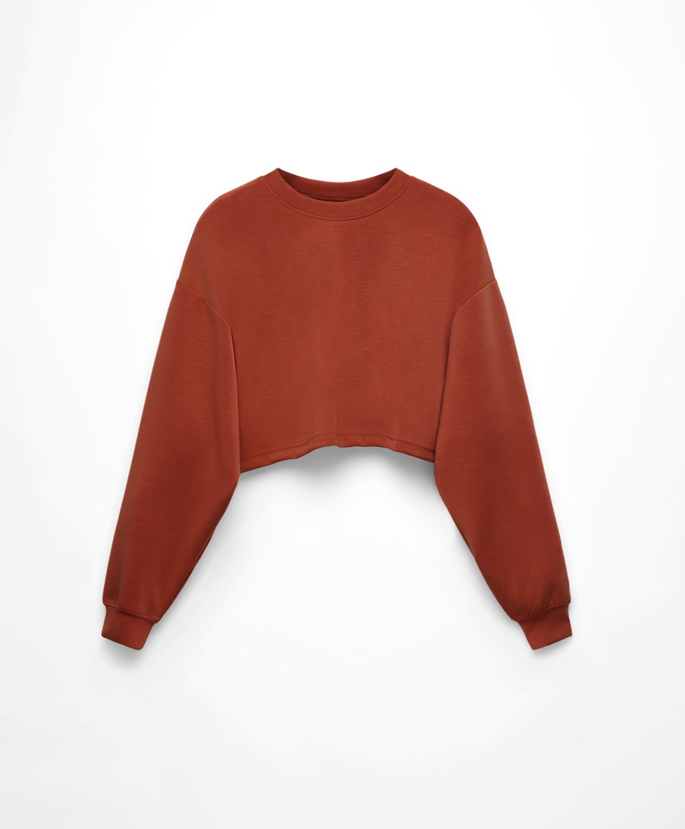 Oysho Crop Modal Sweatshirt Brune | ABGW38620