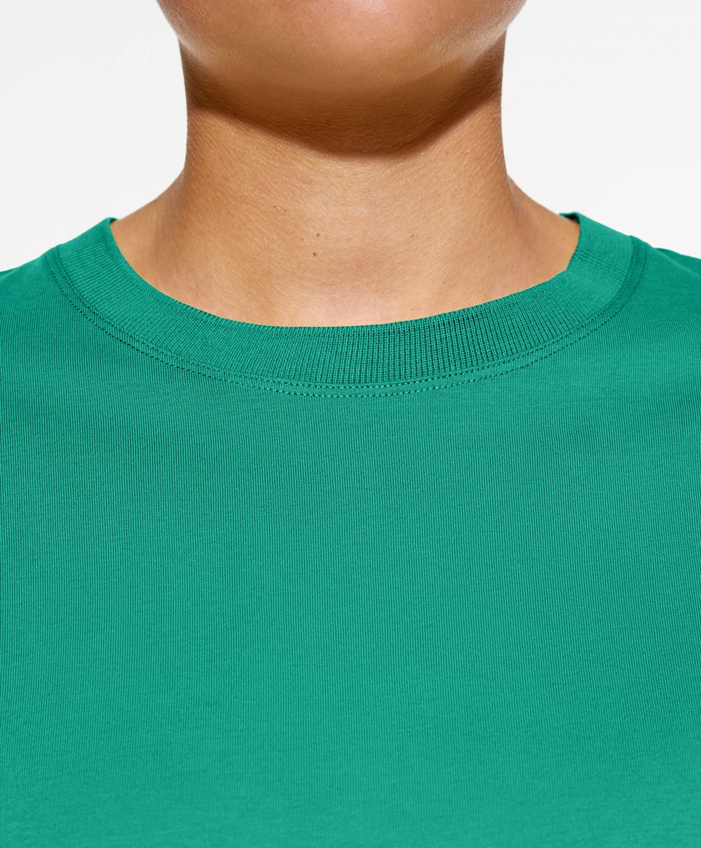 Oysho Washed 100% Bomull Crop T-shirt Grønn | IOGD50378