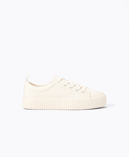 Oysho Canvas Sneakers Ecru | HGNL32851